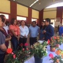 Participa Adriana Atristain Orozco en feria de agricultura en Sola de Vega