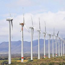 Reinician labores 5 parques eólicos del Istmo, Oaxaca