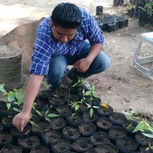 Dirección de Medio Ambiente reproduce plantas nativas en vivero municipal de Tuxtepec