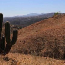 Se incrementa sequía en Oaxaca