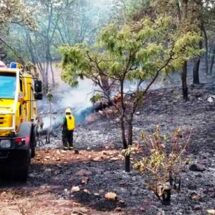 Reportan 9 incendios forestales activos en México