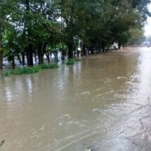 Los ríos desbordados por lluvias en Campeche