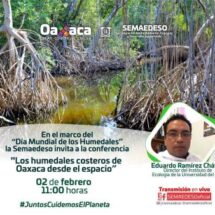 Invita Semaedeso a la conferencia virtual sobre los humedales costeros de Oaxaca
