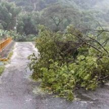 33 municipios de Veracruz con daños por constantes lluvias