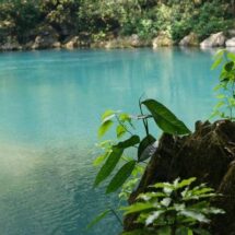 La belleza del Río Atoyac necesita ser rescatada; hacen falta proyectos de limpieza