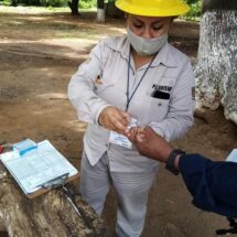 Mantiene SSO medidas preventivas para erradicar el paludismo en Oaxaca
